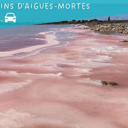 Le Flamant Rose - Cosykaz Leilighet Aigues-Mortes Eksteriør bilde