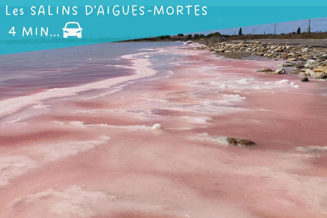Le Flamant Rose - Cosykaz Leilighet Aigues-Mortes Eksteriør bilde