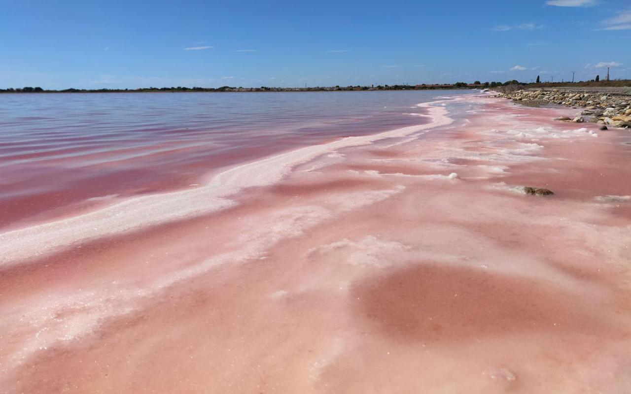 Le Flamant Rose - Cosykaz Leilighet Aigues-Mortes Eksteriør bilde